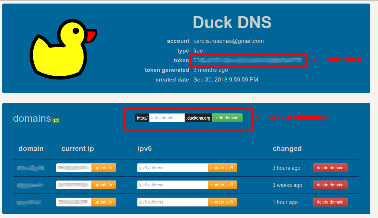DuckDNS configuration