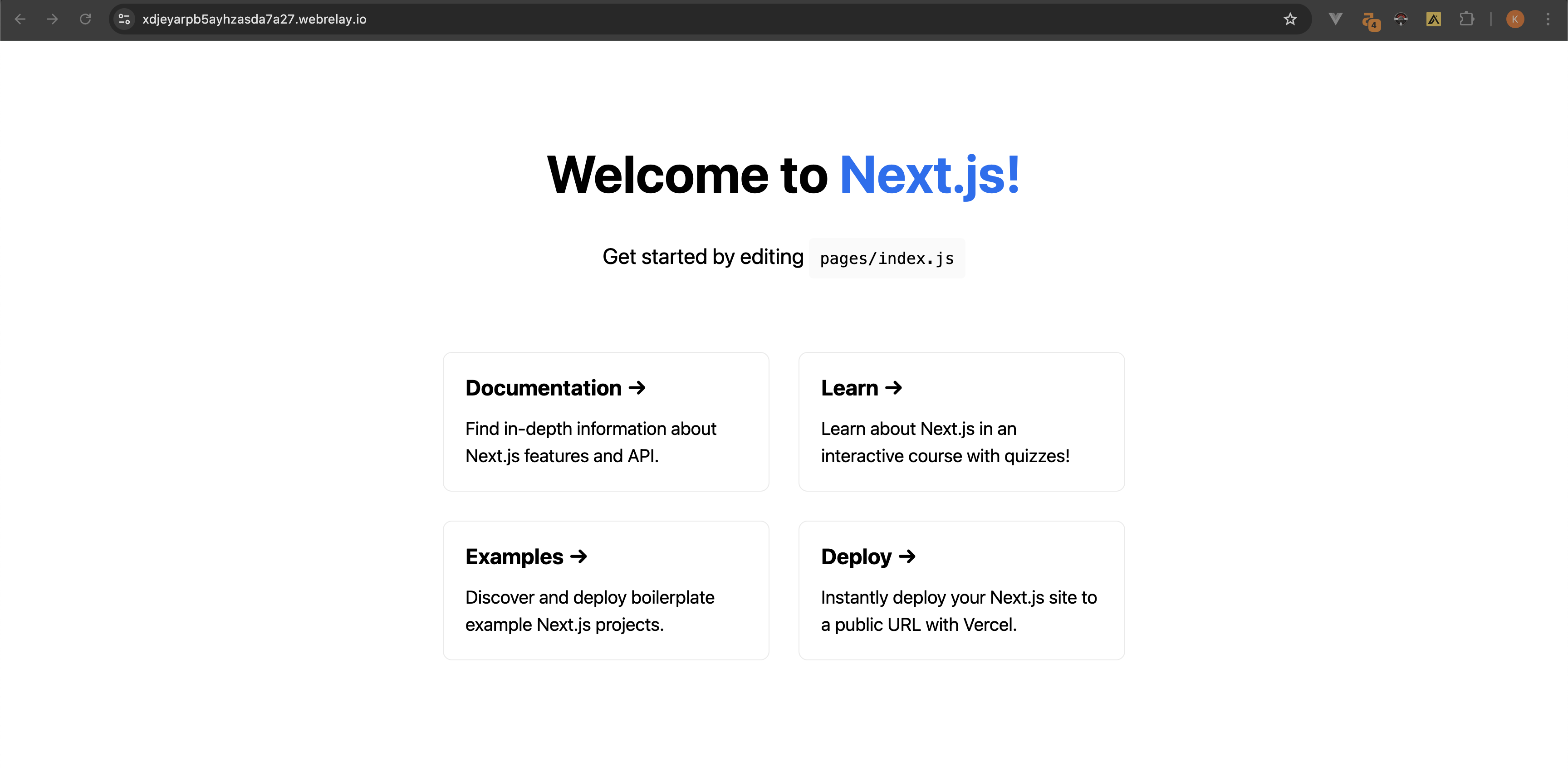 nextjs starter server